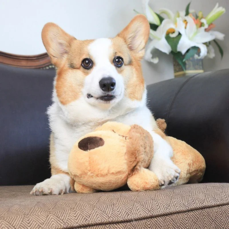 Pet Dog Heartbeat Toy
