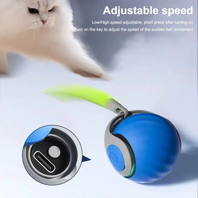 Pet Dog Automatic Ball