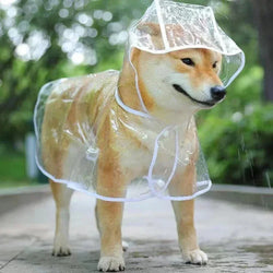 Pet Dog Raincoat