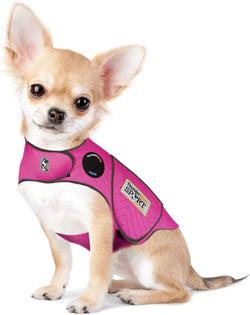 Dog Anxiety Vest