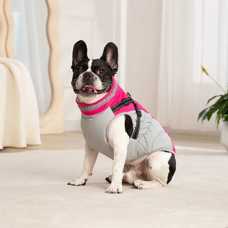 Pet Dog Waterproof Jacket