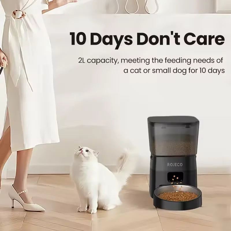 Pet Cat Auto Feeder