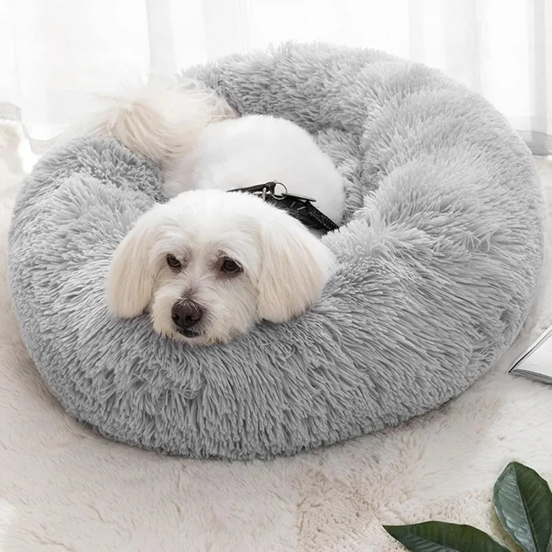 Dog Bed with Cover Cave