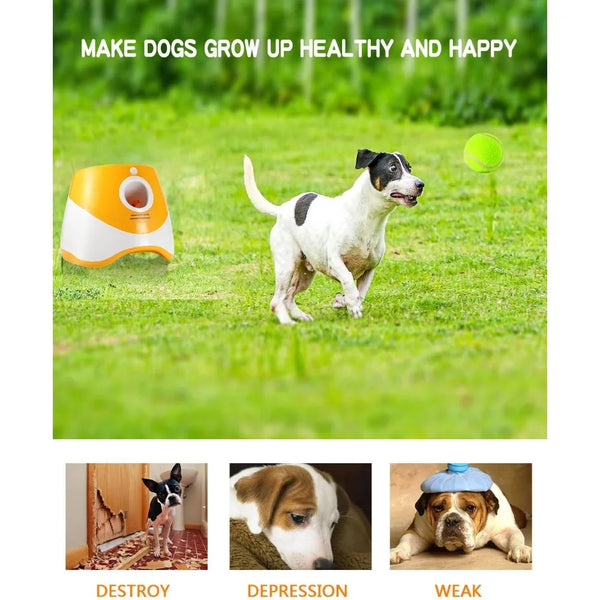 Pet Dog Ball Launcher