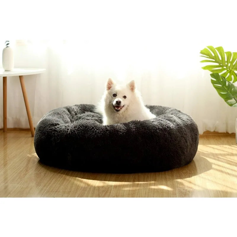 Pet Beds for Medium Dogs / Cats