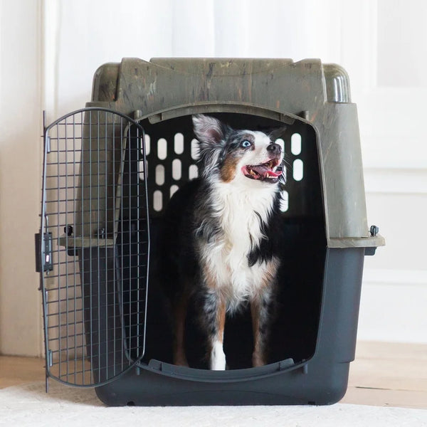 pet Dog Cage/Kennel