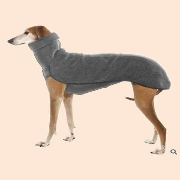 Pet Dog Cloths