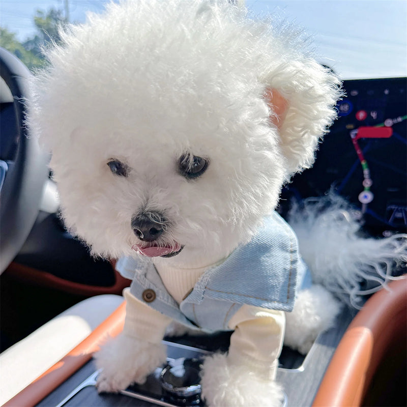Pet Denim Jacket V