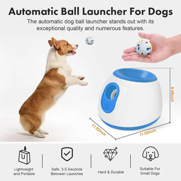 Pet interactive Toy