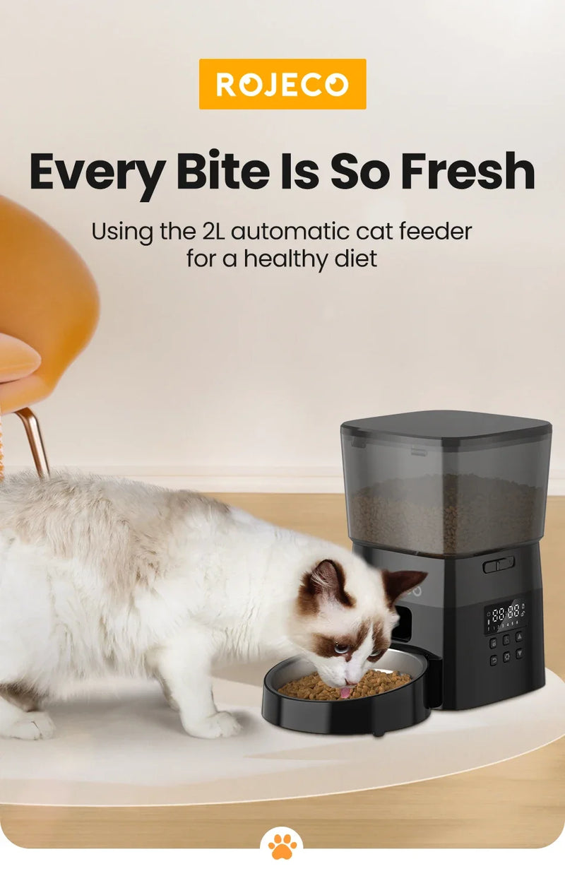 Pet Cat Auto Feeder