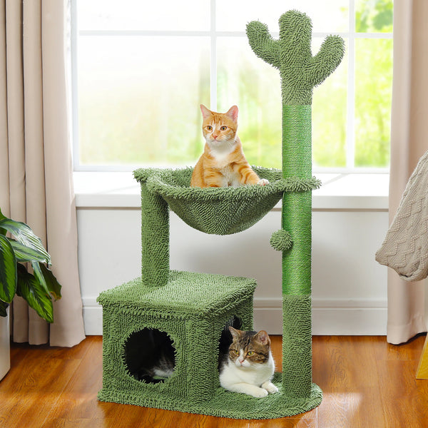 Pet Cat Cactus Tree