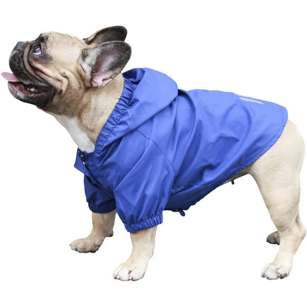 Pet Dog Jacket