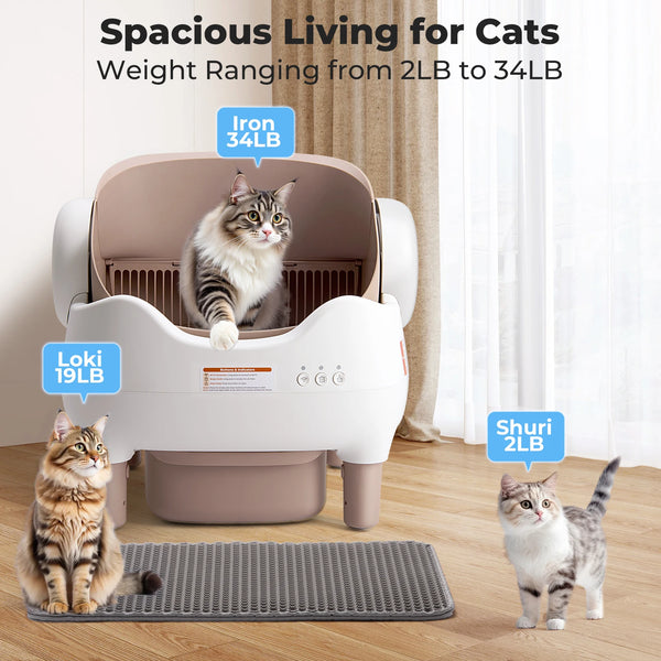 Pet Cat Auto Litter Box