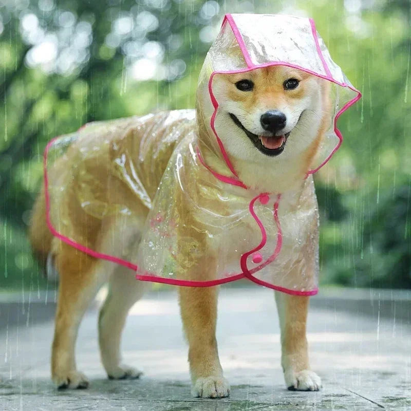 Pet Dog Raincoat
