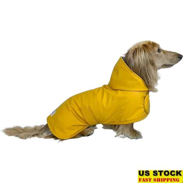 Pet Dachshund Raincoat