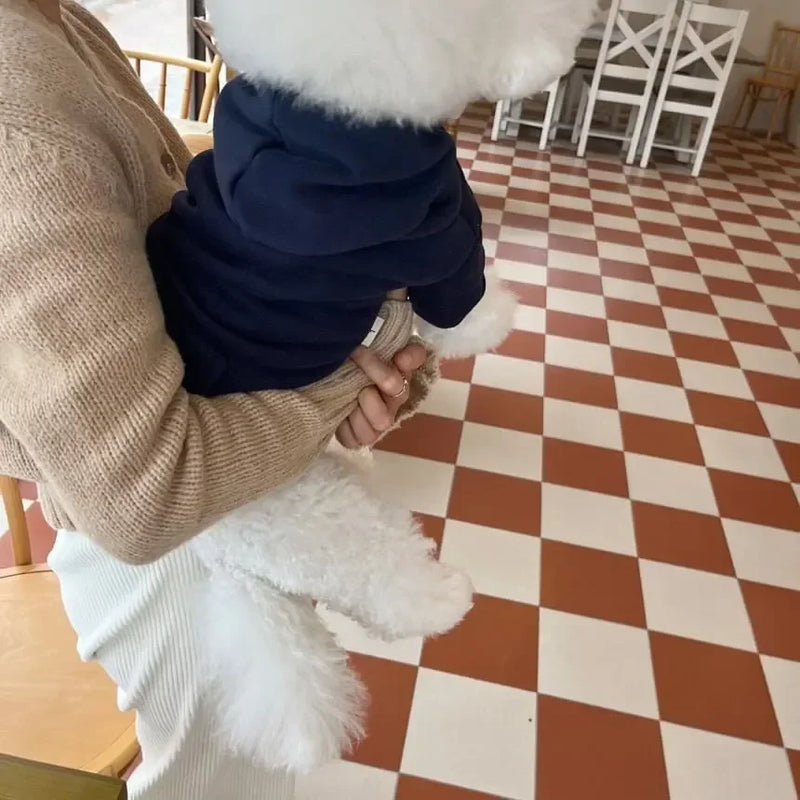 Pet Dog Hoodie