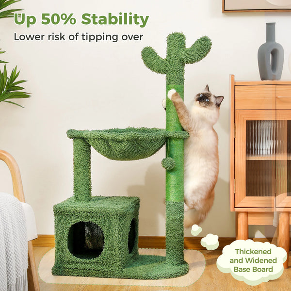 Pet Cat Cactus Tree