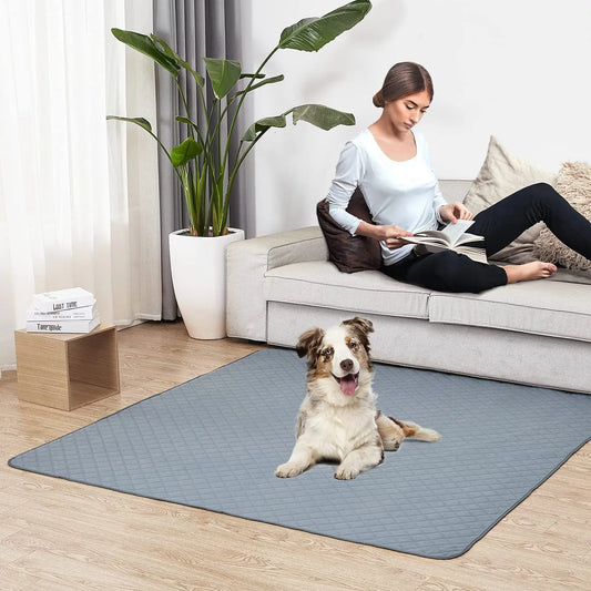 Dog Pee Pad Blanket