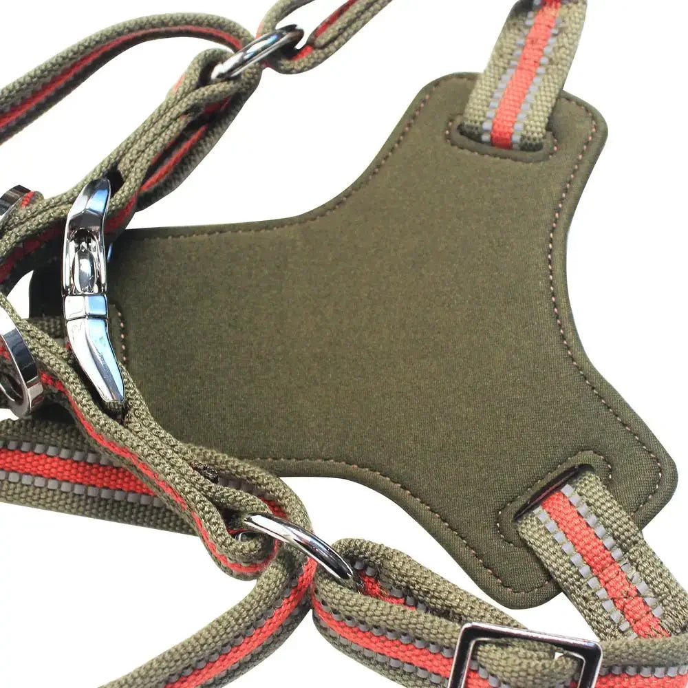 Large Dogs Harness