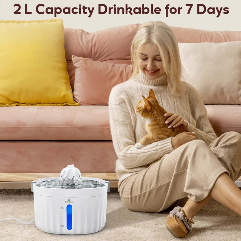 Cat Auto Water Fountain