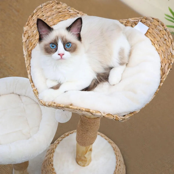 Pet Cat Tree