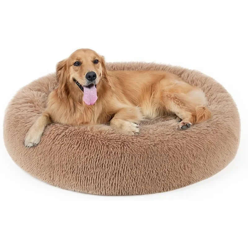 Pet Donut Bed