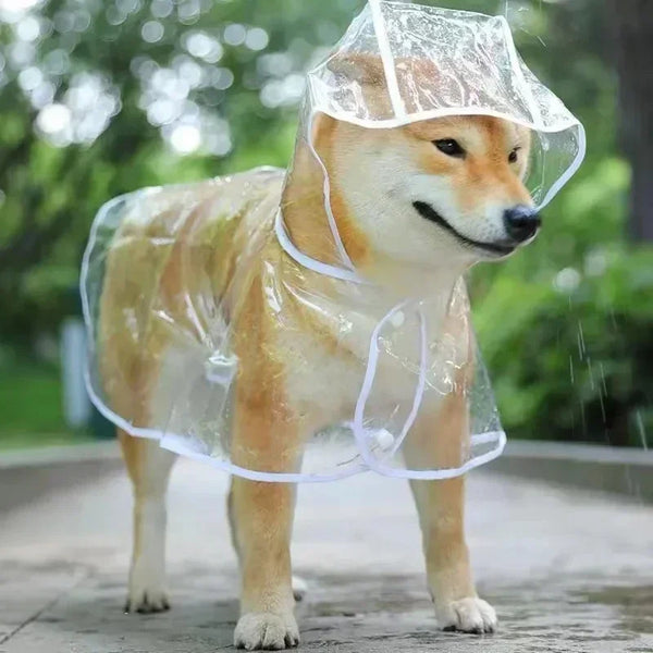 Pet Dog Raincoat