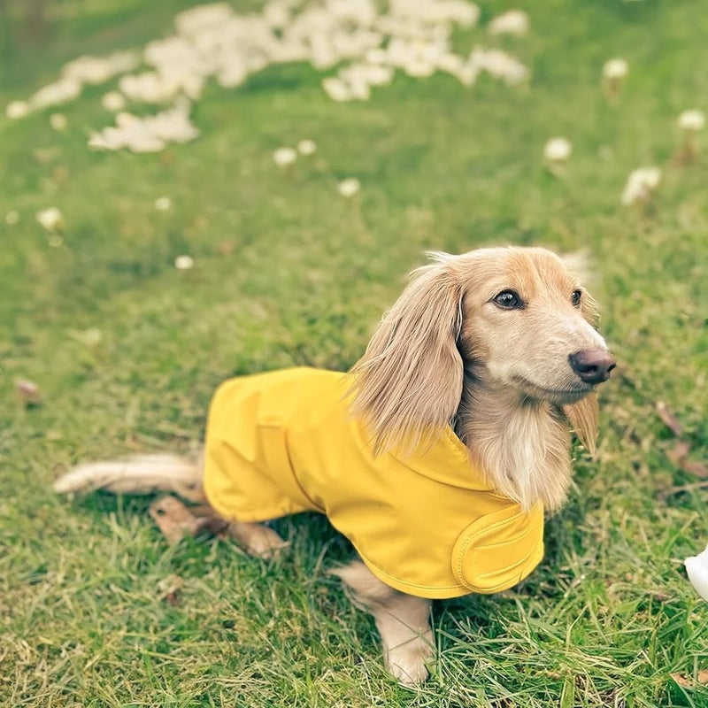 Pet Dachshund Raincoat