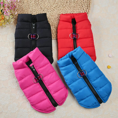 Pet Dog Vest / Jacket