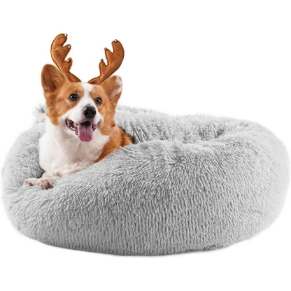 Pet Anxiety Bed with Blanket