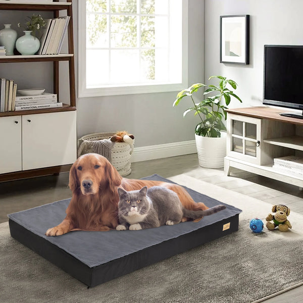 Pet Dog Bed