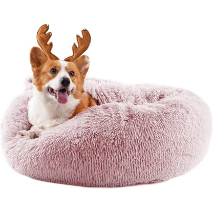 Pet Anxiety Bed with Blanket