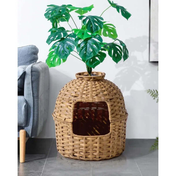 Cat Litter Box