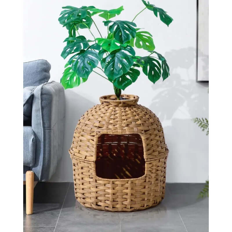 Cat Litter Box