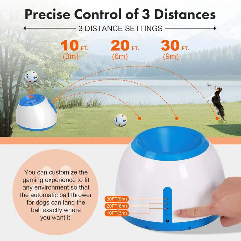 Pet interactive Toy