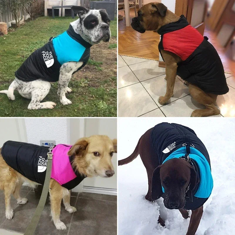 Pet Dog, Jacket, Coat, Vest