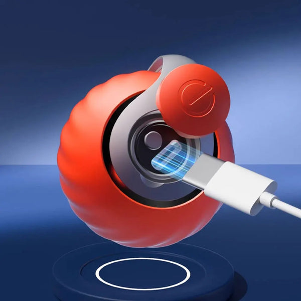Pet Dog Automatic Ball
