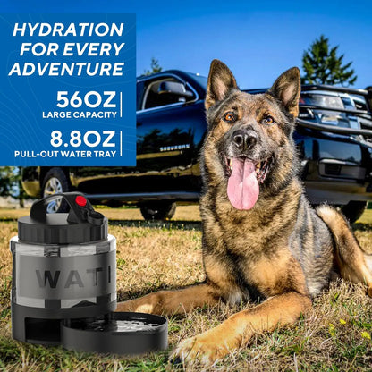Pet Dog Water Bottle