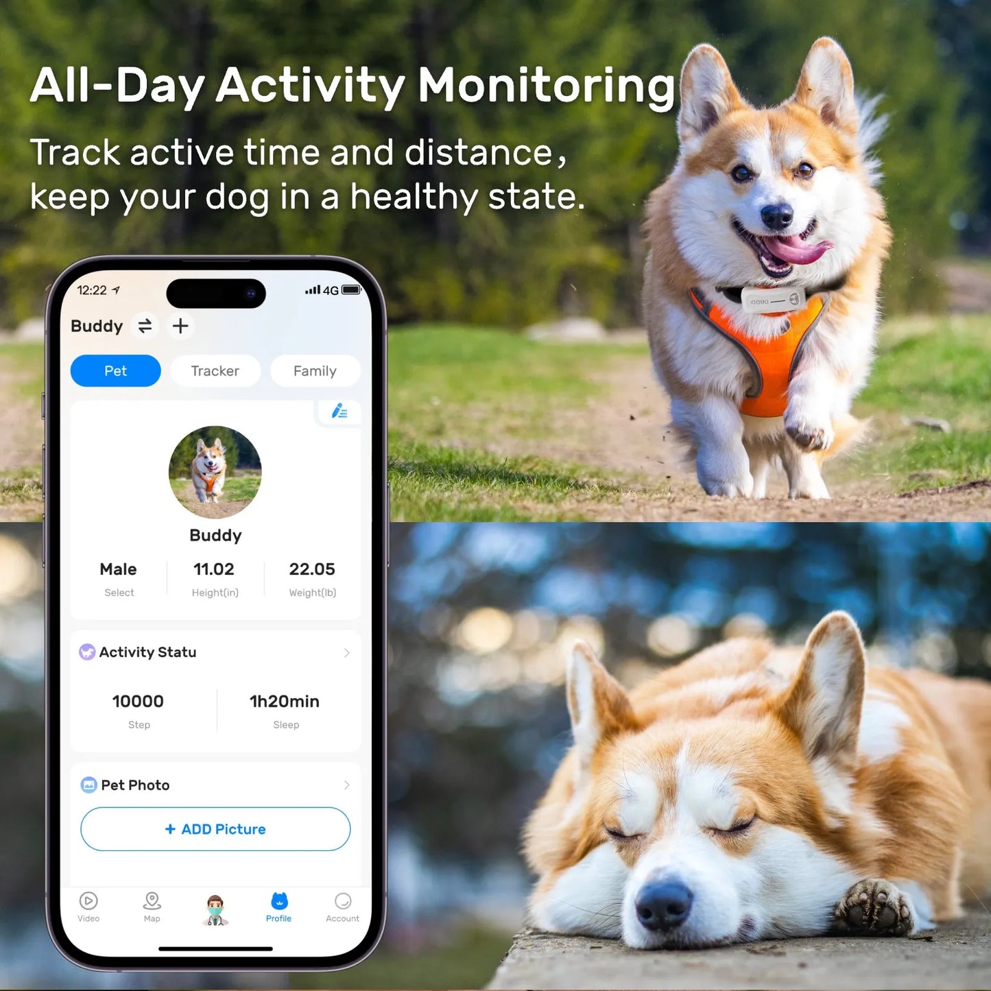 DBDD GPS Tracker for Dogs