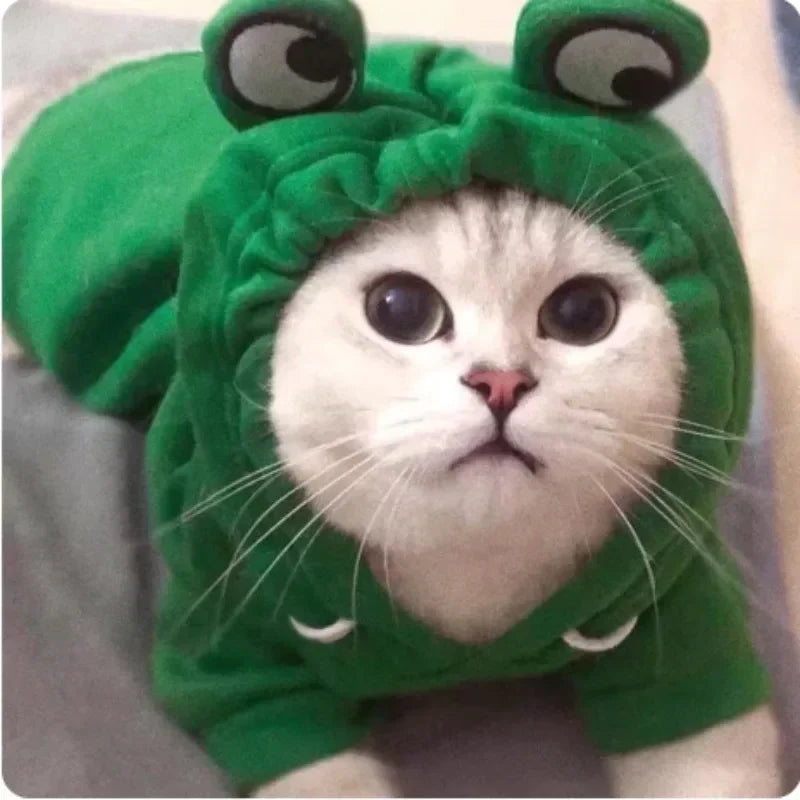 Pet Dog/Cat Hoodie