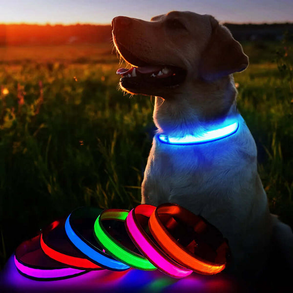 Pet Luminous Collar