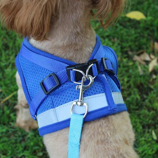 Pet Dog Harness