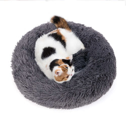 Pet Cat / Dog Beds