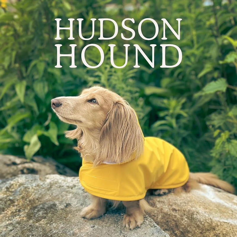 Pet Dachshund Raincoat