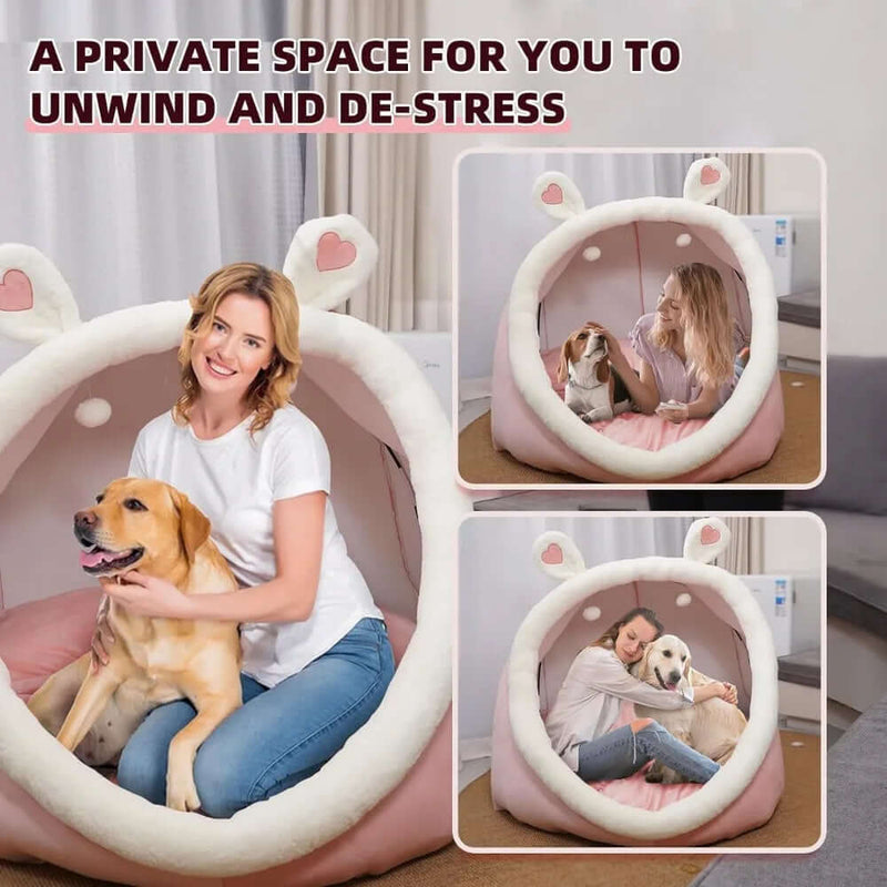 Pet Dog Bed
