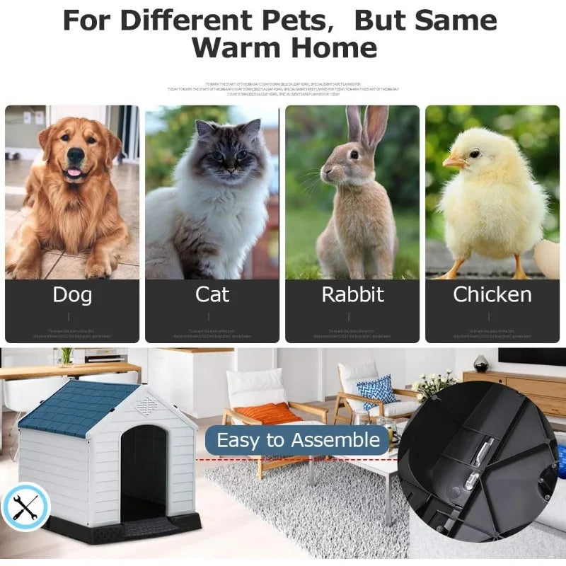 Pet Dog House