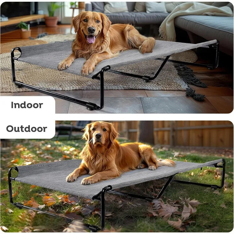 Large Elevated Dog Bed