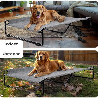 Large Elevated Dog Bed