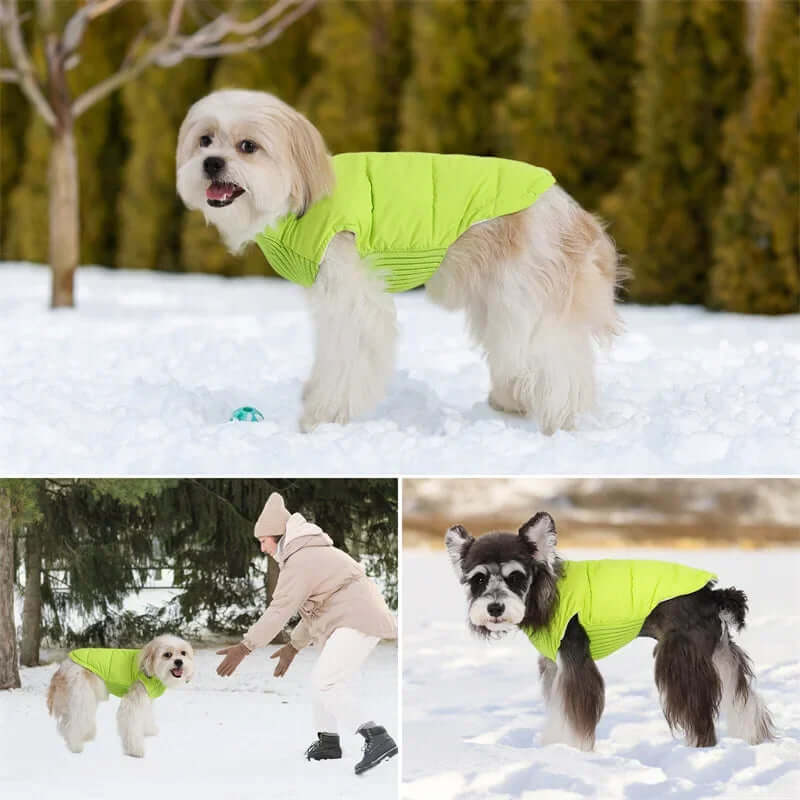 Pet Dog Coats / Winter