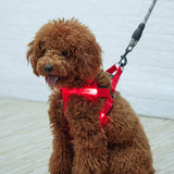 Pet LED Harness